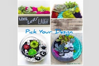 Plant Nite: Pick Your Design II